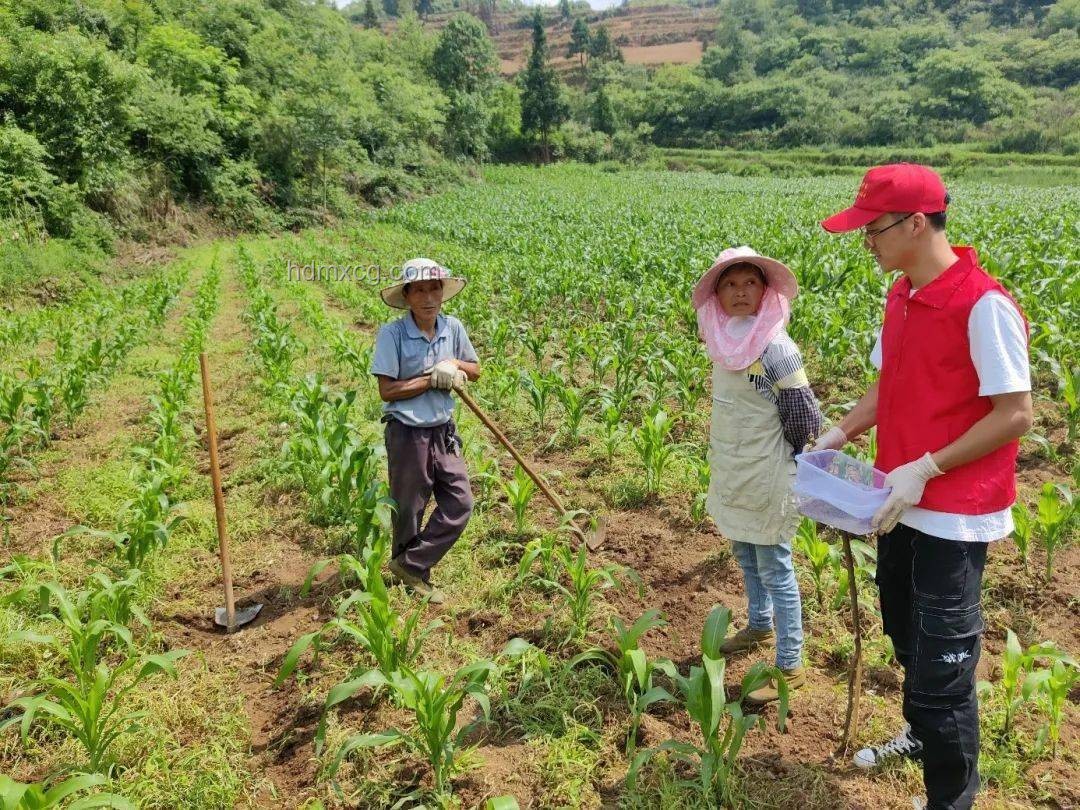 加固溪流生态，河狸先生引领绿植移栽新趋势